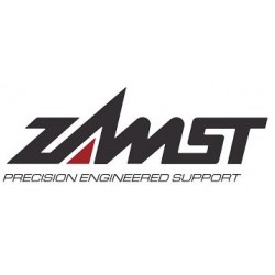 Zamist